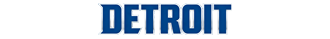 Lions T-Shirt Shop
